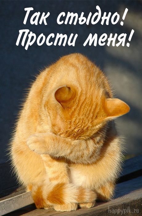 Извинения в прозе - как примирение слов и эмоций может стать ключом к гармонии и взаимопониманию Извинения в прозе